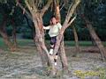 thMaxitreeclimbing30.jpg